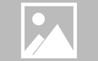 郑州自助网站建设怎么建设的（自助网站建设平台）